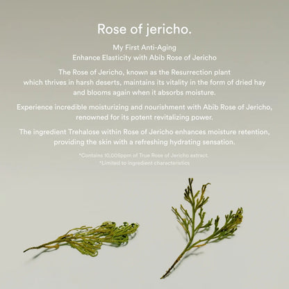 [ABIB] Jericho Rose Bifida Serum Firming Drop – 50ml - SFOILER