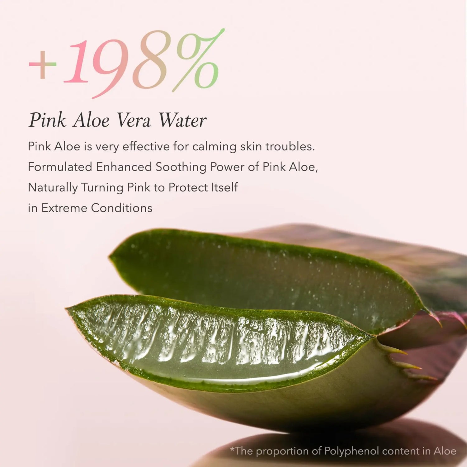 [APRILSKIN] Pink Aloe Pack Cleanser - 120g - SFOILER