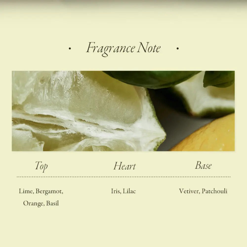 [LONGTAKE] Basil &amp; Vetiver Solid Perfume – 30ml - SFOILER