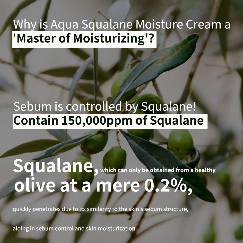 [S.NATURE] Aqua Squalane Moisturizing Cream Holiday Edition Twin Pack - 60ml x 2 - SFOILER