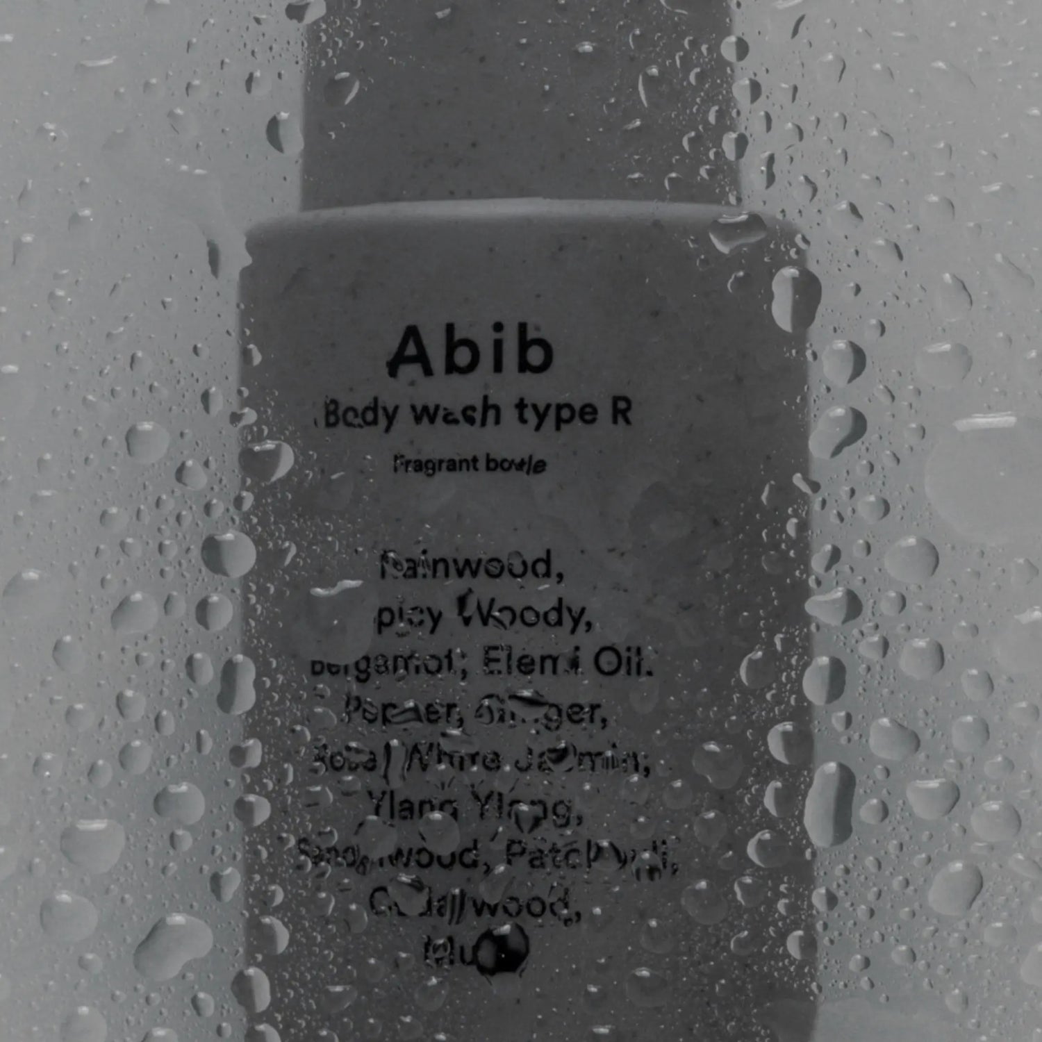 [ABIB] Body Wash Type S, G, R Fragrant Bottle - 3 scents / 300ml - SFOILER