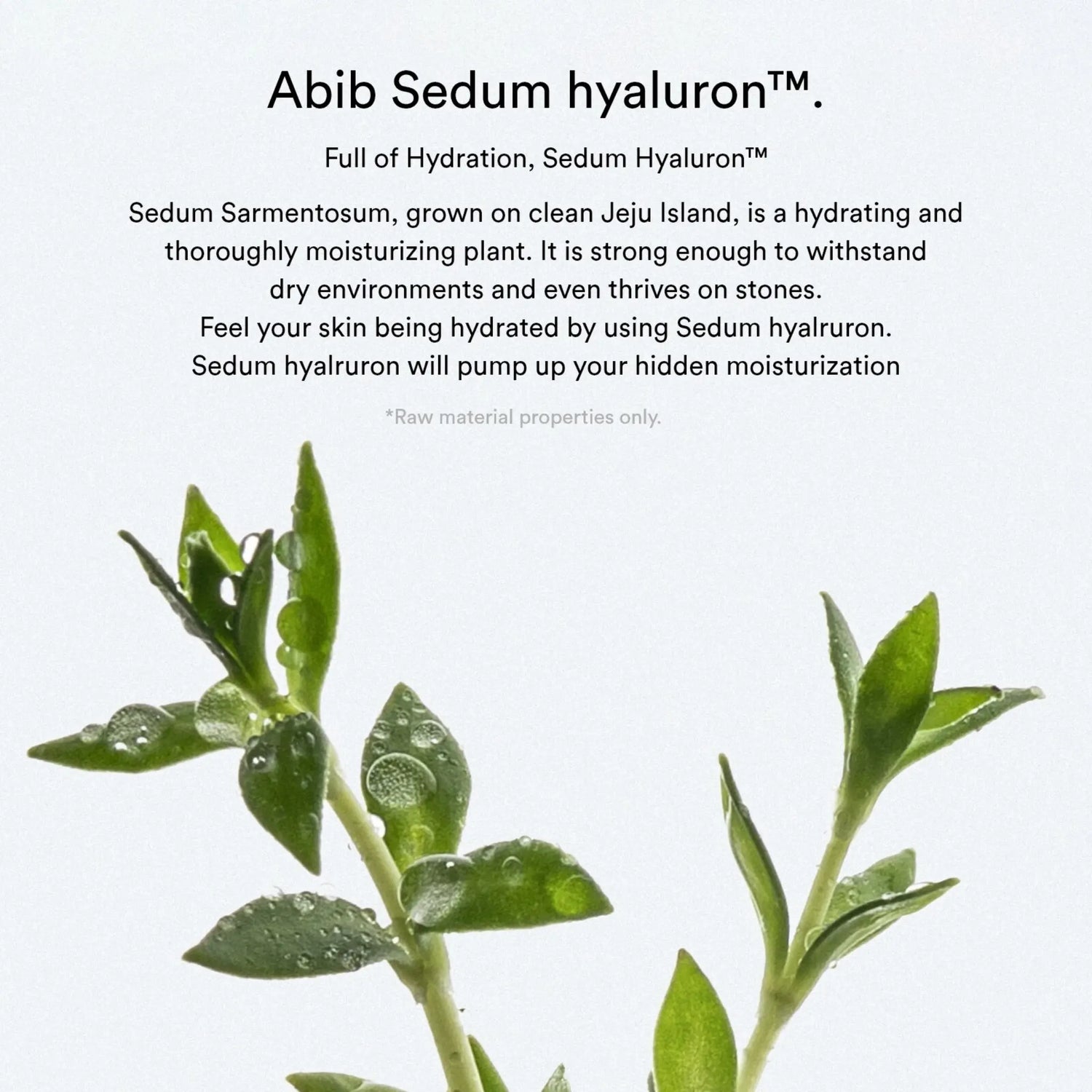 [ABIB] Sedum Hyaluron Pad Hydrating Touch Holiday Edition - SFOILER