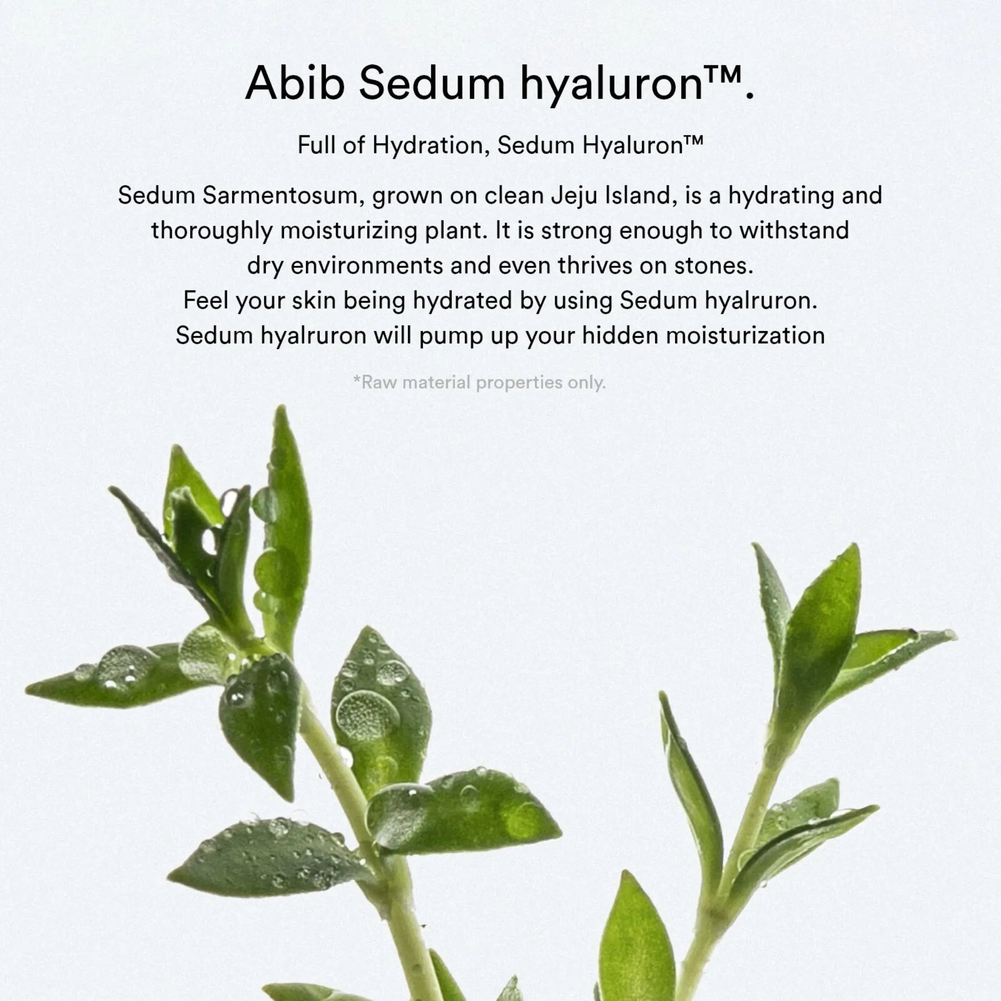 [ABIB] Sedum Hyaluron Pad Hydrating Touch Holiday Edition - SFOILER