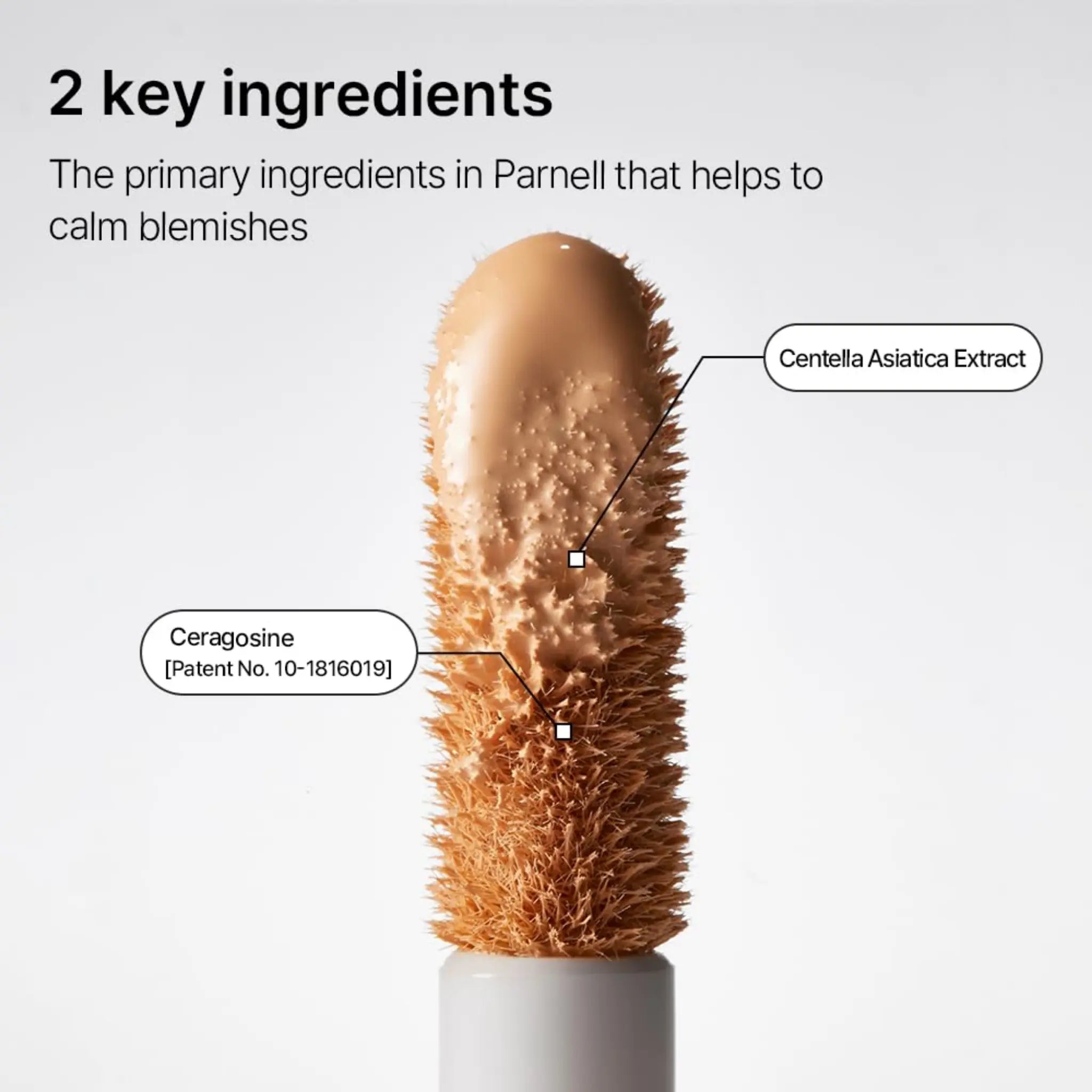 [PARNELL] Cicamanu Skinfit Cover Concealer  2 colors / 5g - SFOILER