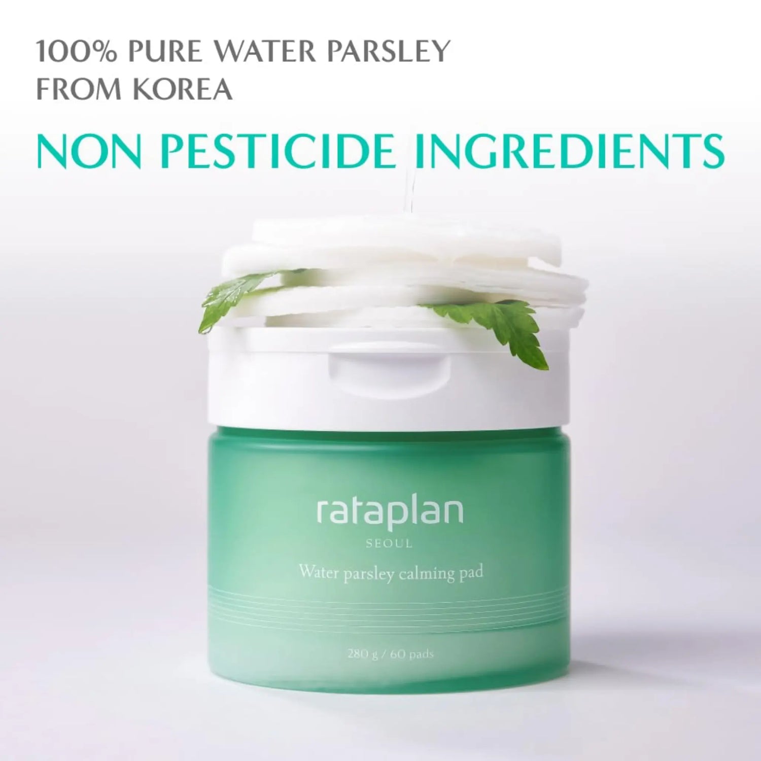 [RATAPLAN] Water Parsley Calming Pad Special Set - SFOILER