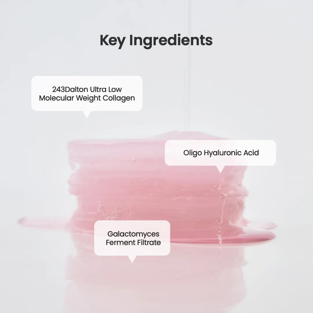 [BIODANCE] Bio Collagen Gel Toner Pads – 60 PADS / 140g - SFOILER