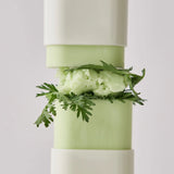 [BEAUTY OF JOSEON] Matte Sun Stick: Mugwort + Camelia SPF50+ PA++++ - 18g - SFOILER