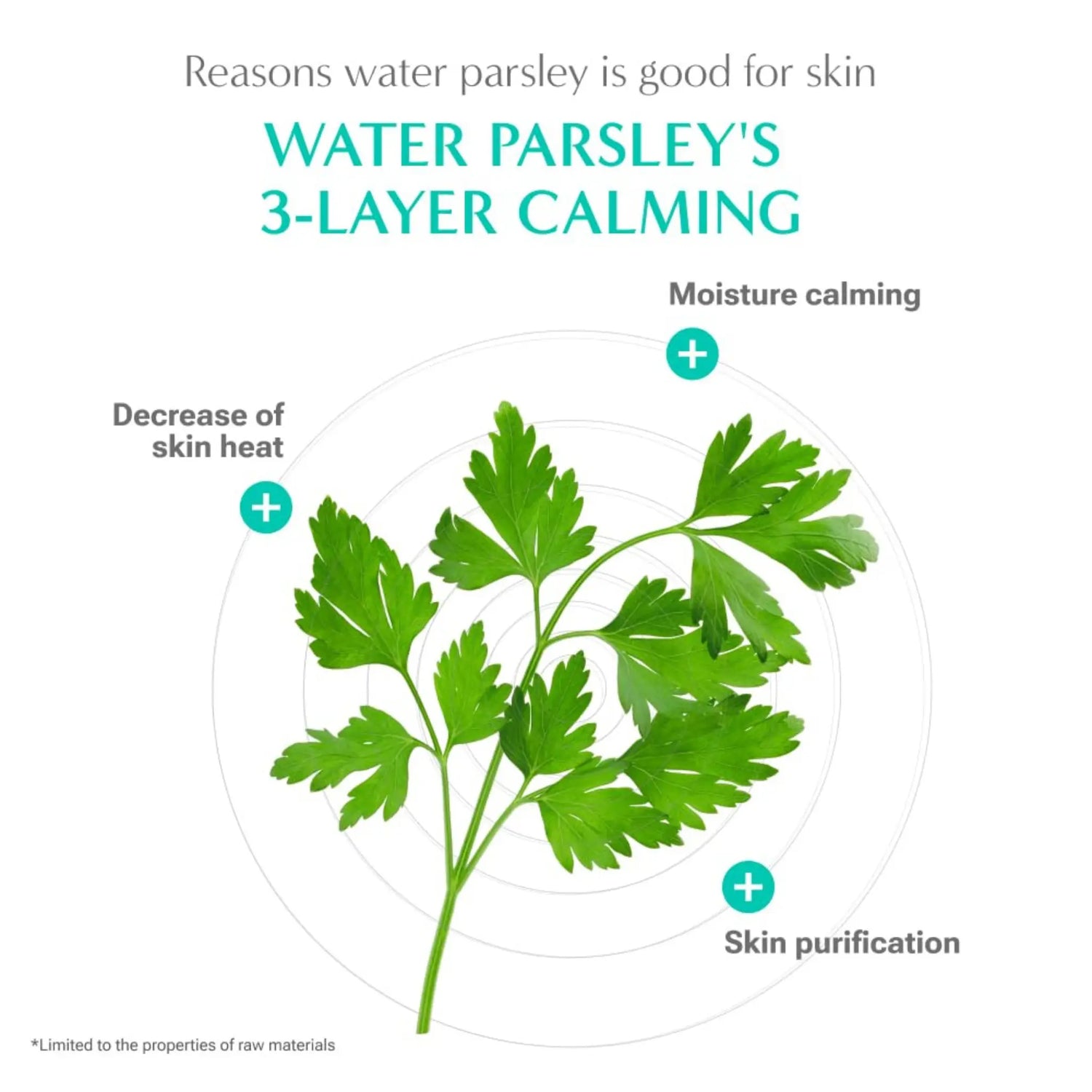 [RATAPLAN] Water Parsley Calming Pad Special Set - SFOILER