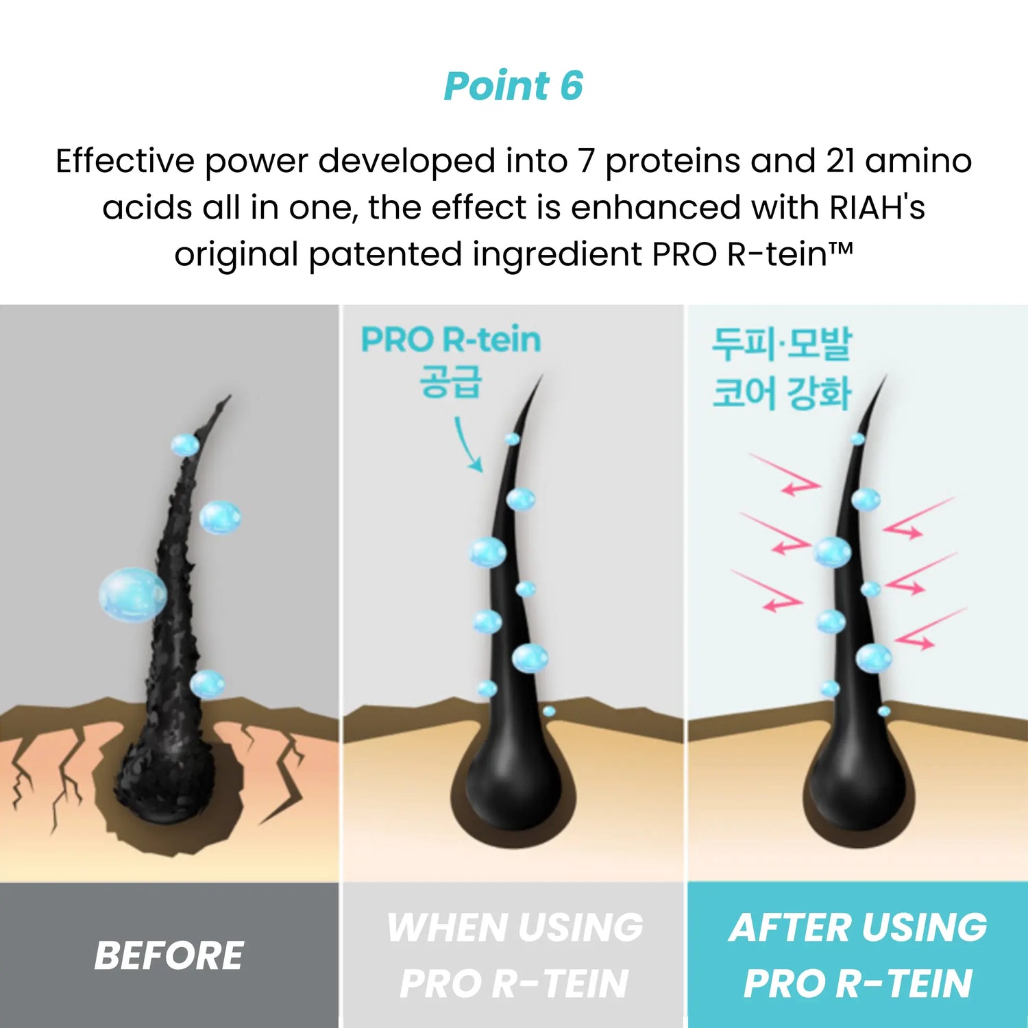 [RIAH] Scalp Strengthening Pro R-tein Special Set - SFOILER