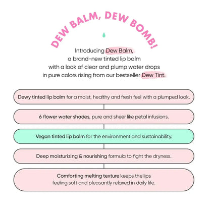 [AMUSE] Dew Balm – 6 colors / 3.2g - SFOILER