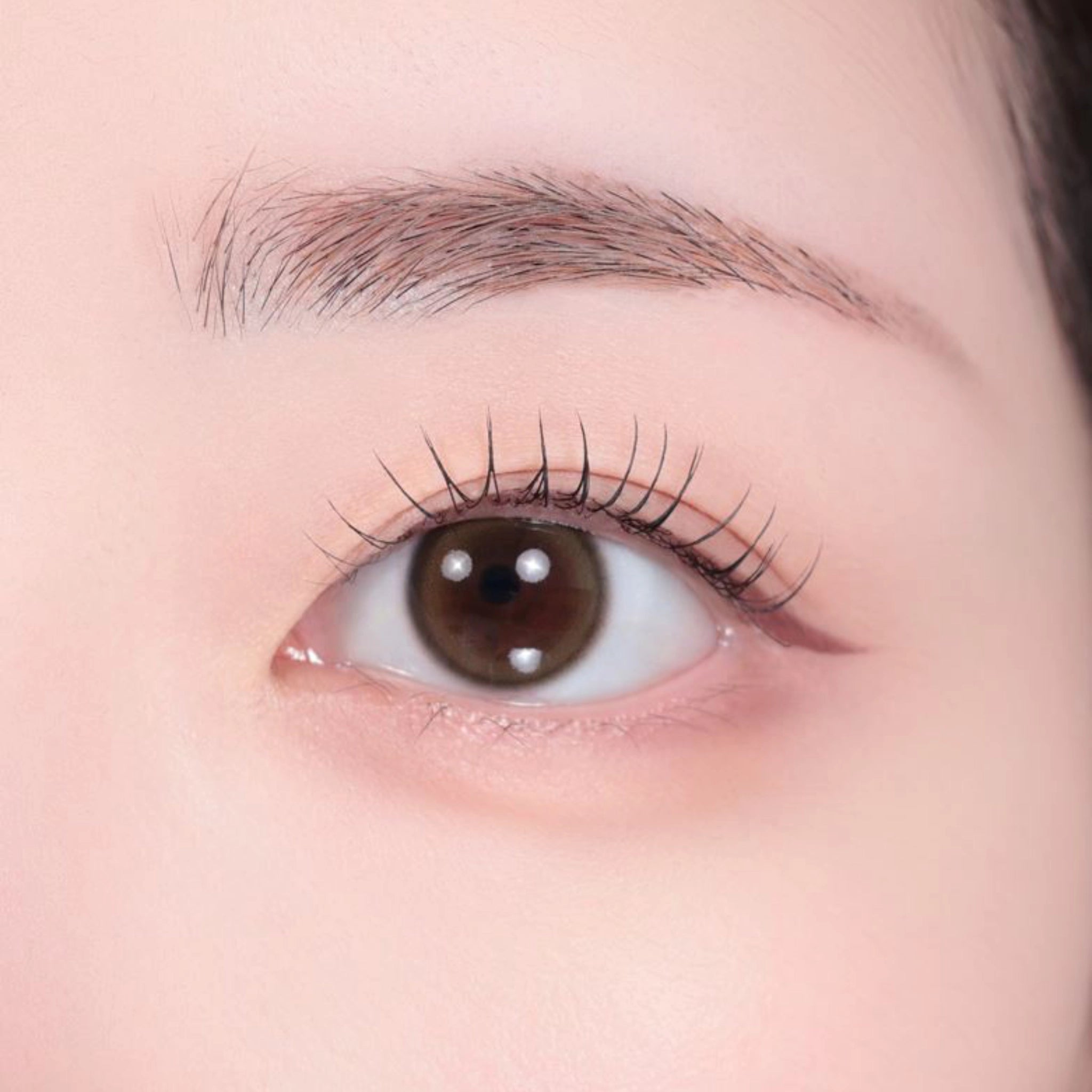 [COLORGRAM] Shade Re-Forming Brush Liner - 8 colors / 0.5g - SFOILER